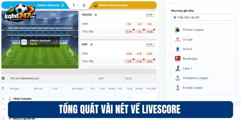 Tổng quát vài nét về Livescore