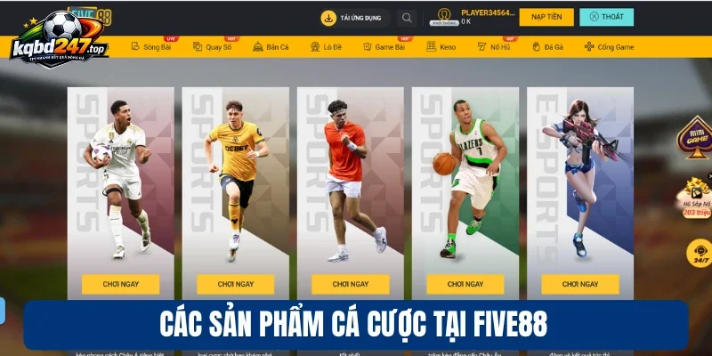 Các sản phẩm cá cược tại Five88