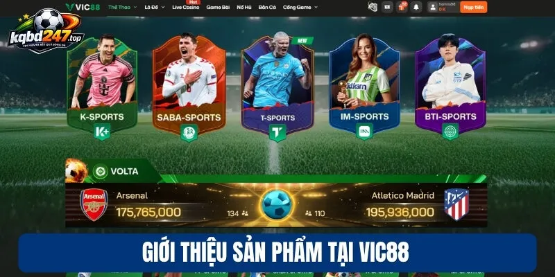 Giới thiệu sản phẩm tại Vic88